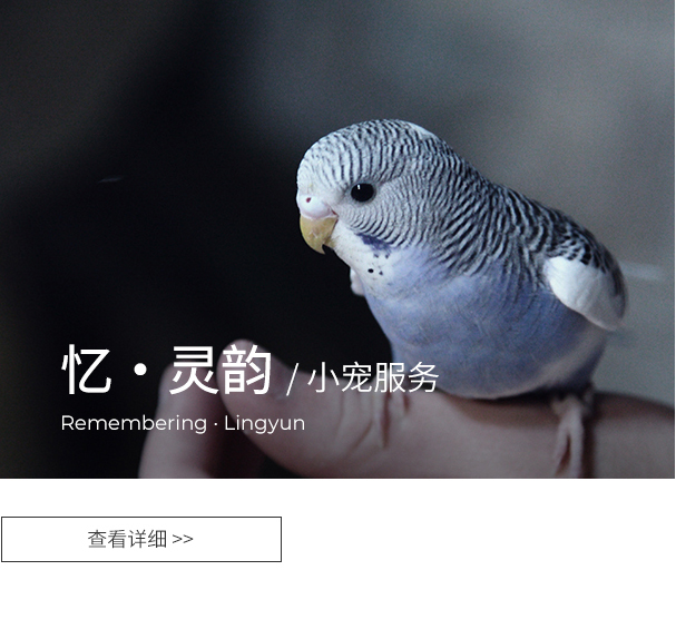善终服务