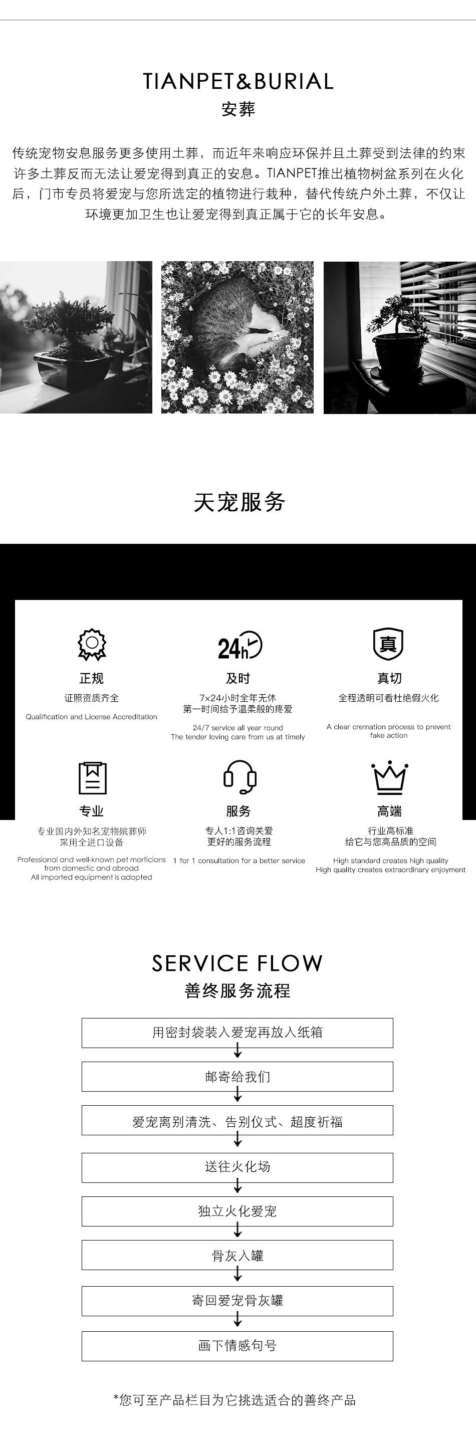 小宠方案_02.jpg