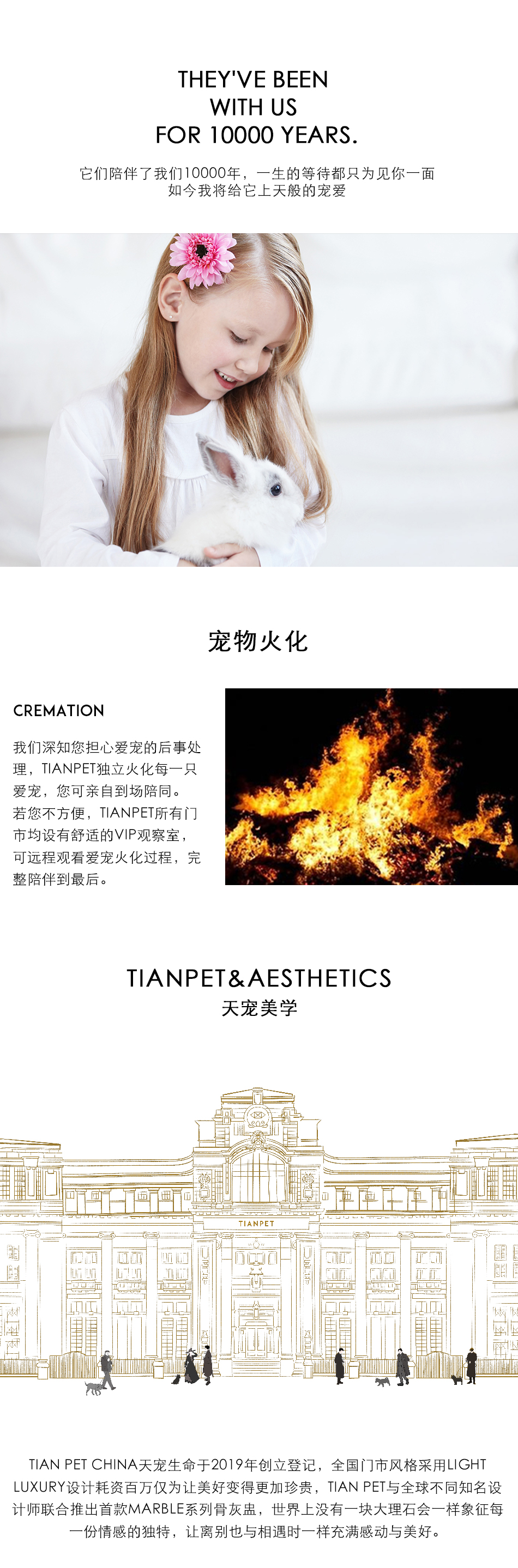 小宠方案_01.jpg