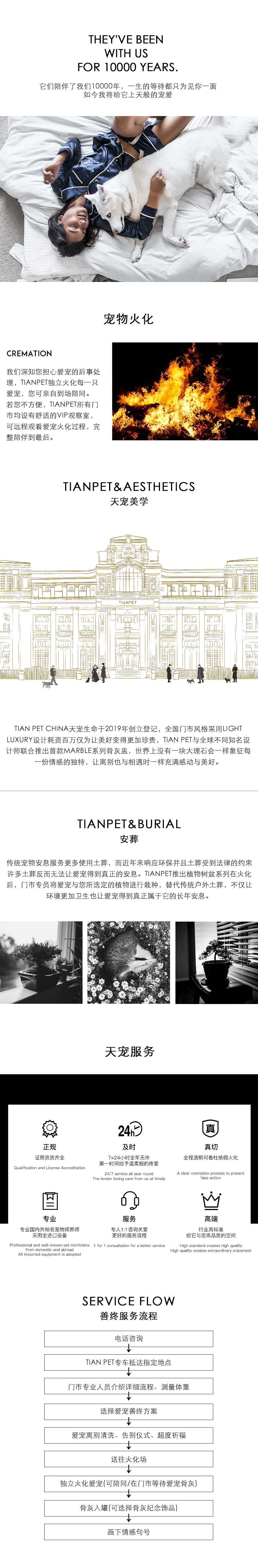 天极方案_01.jpg