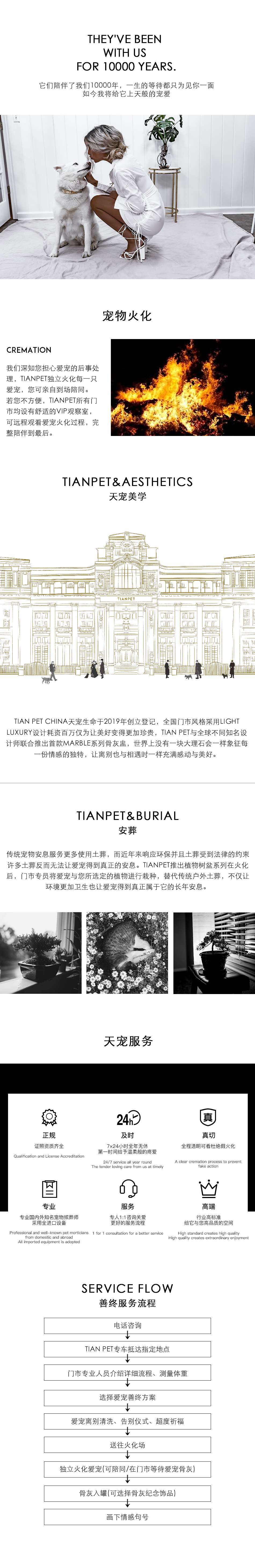 天宠方案_01.jpg