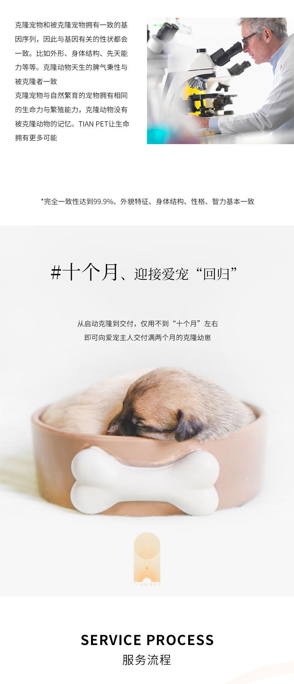 宠物克隆_02.jpg